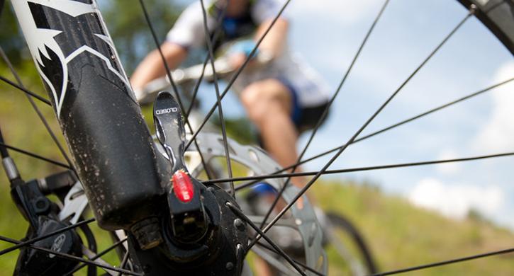 E-Bike oder Mountainbike eldorado