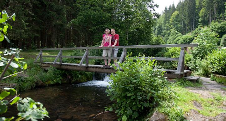 Baden Würtemberg - Schwarzwald - Nordschwazwald - Enztal - Familien Erlebnistal Kleinenztal