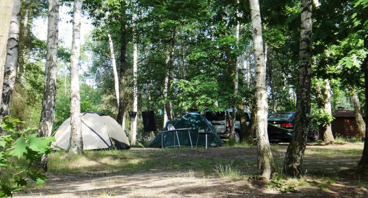 Campingstellplätze Olbasee